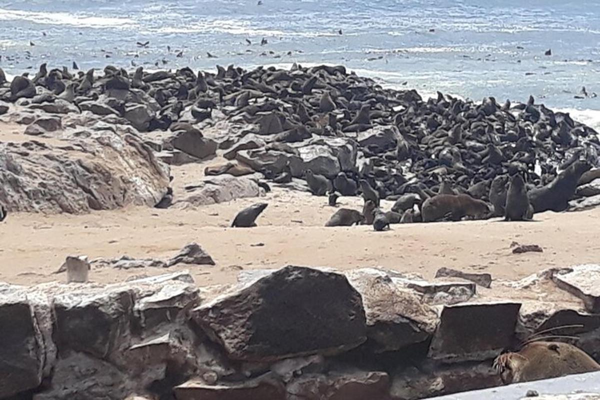 Fotografia da atração 2