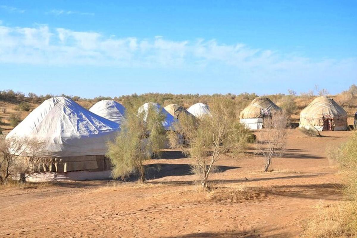 a group of tents in the middle of a field