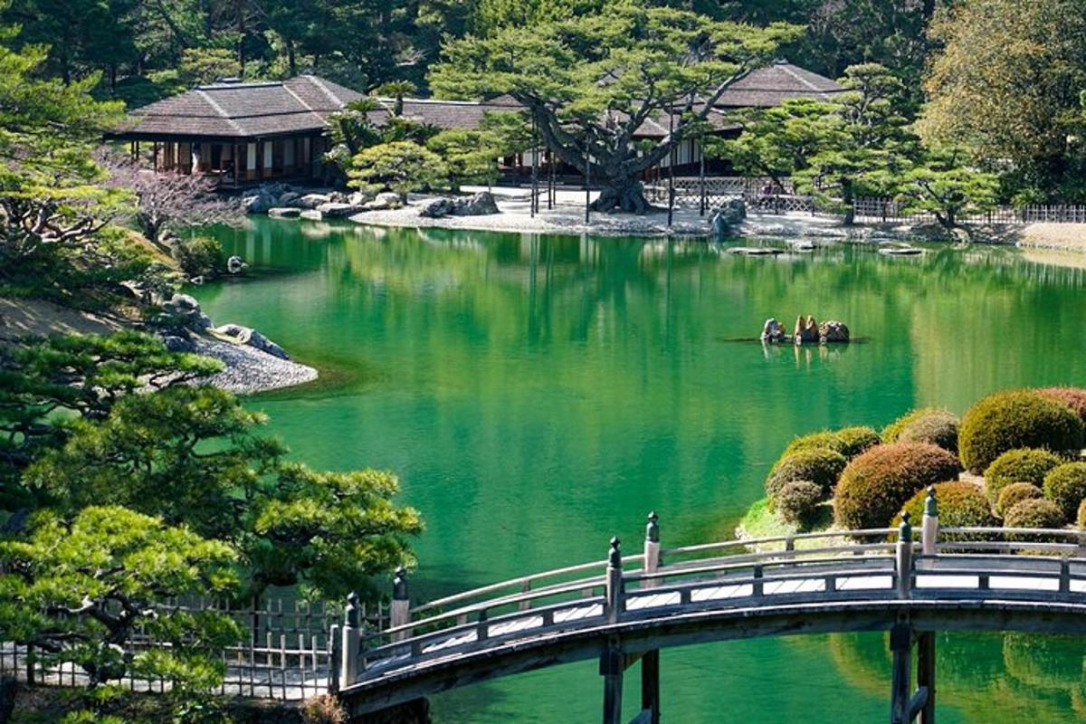 a bridge over a green pond in a garden