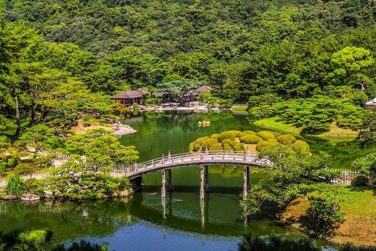 a bridge over a pond in a garden