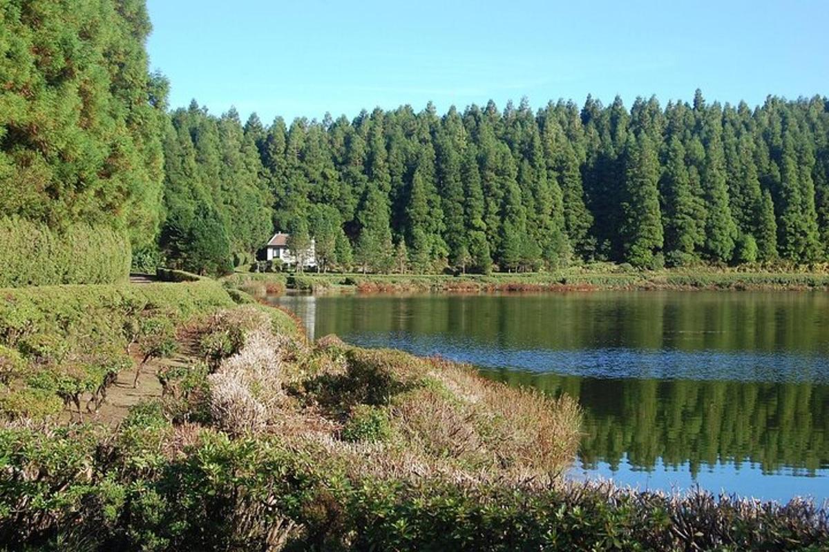 sebuah tasik dengan rumah di tengah-tengah hutan