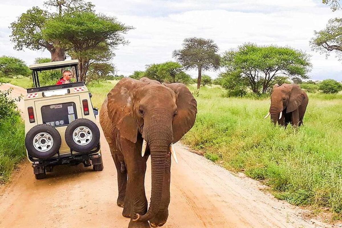 an elephant walking down a dirt road next to a vehicle