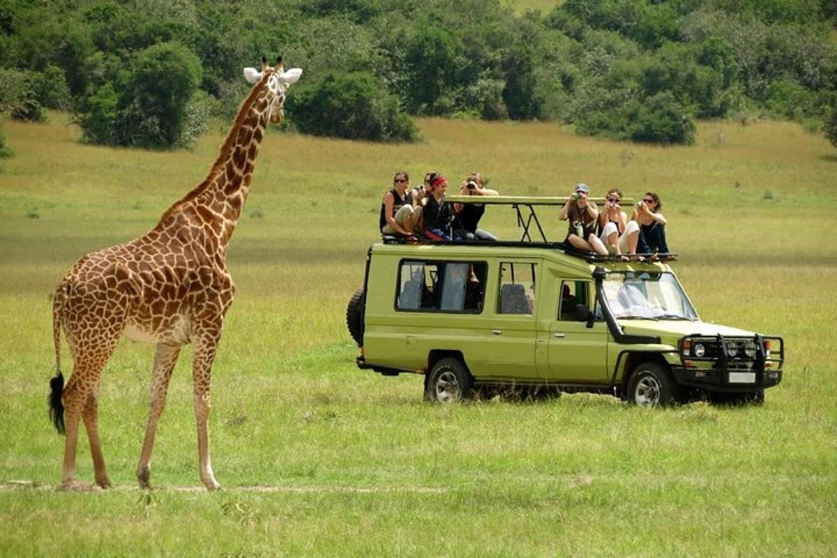 a giraffe standing next to a vehicle with people