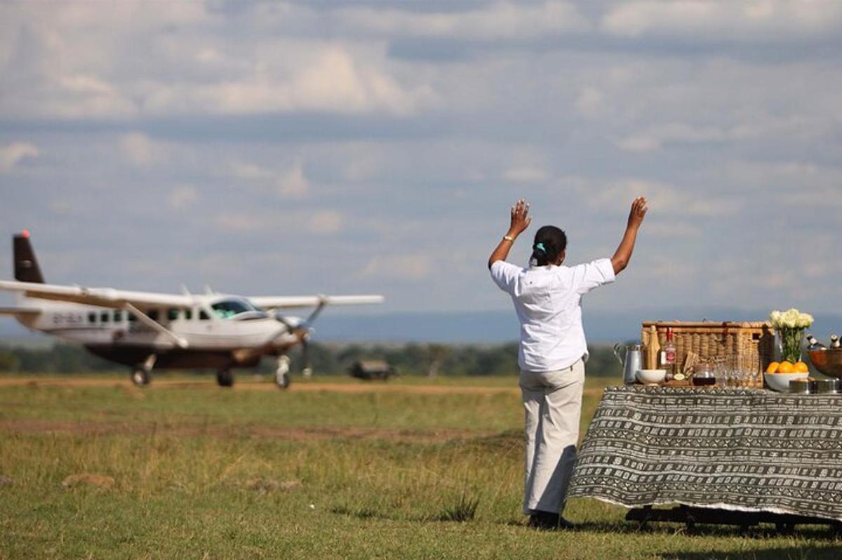 una dona dreta en un camp mirant un avió