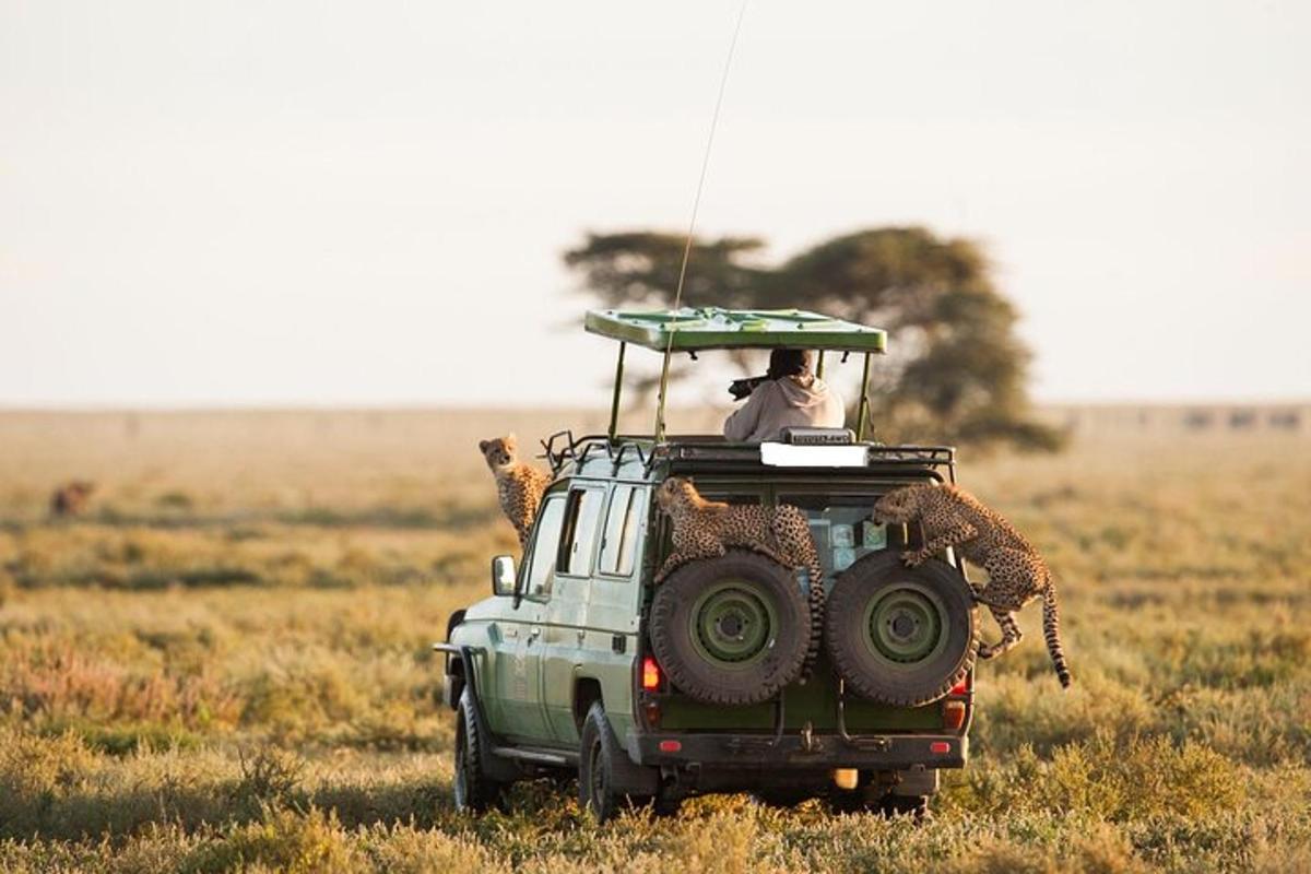 a man riding on the back of a jeep with an animal on it