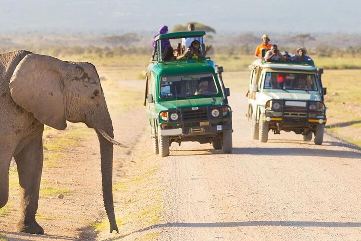 ihmisryhmä safariauton takaosassa