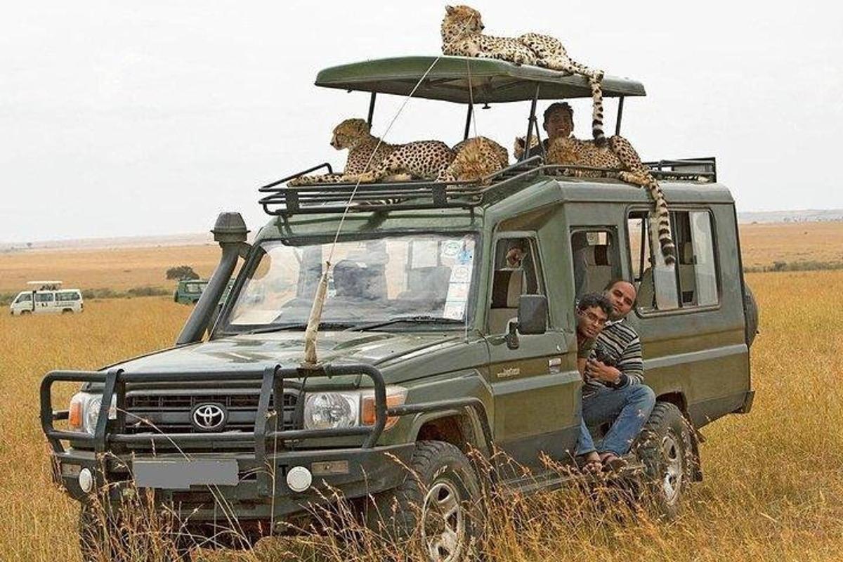sekumpulan orang duduk di atas bumbung kenderaan safari