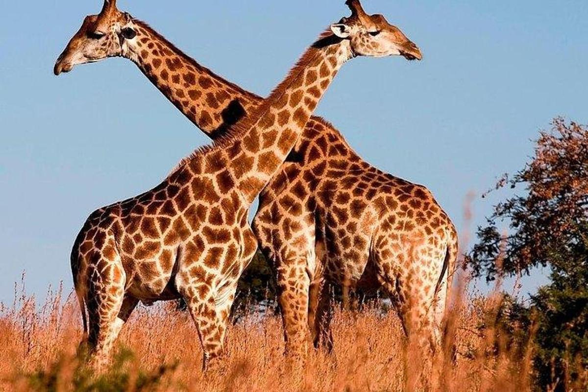 Fotografie atrakce č. 4