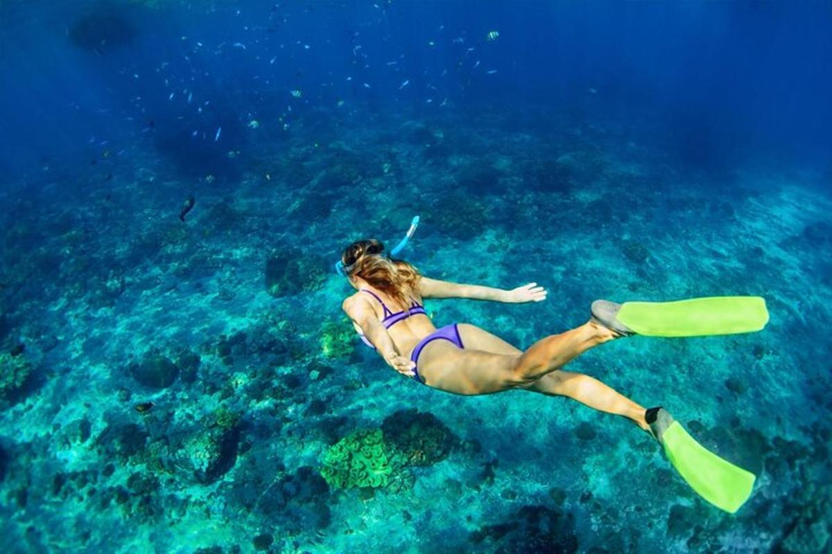 una donna in bikini che nuota nell'oceano