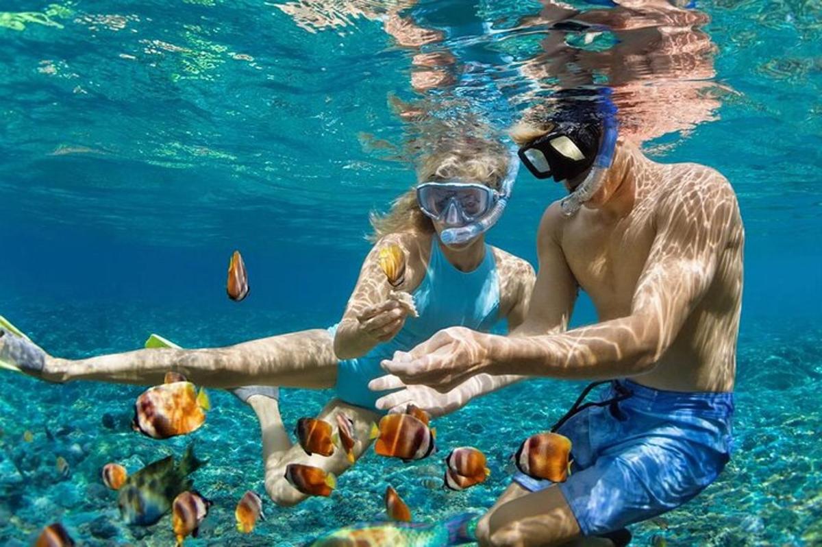 un uomo e una donna in acqua che danno da mangiare ai pesci