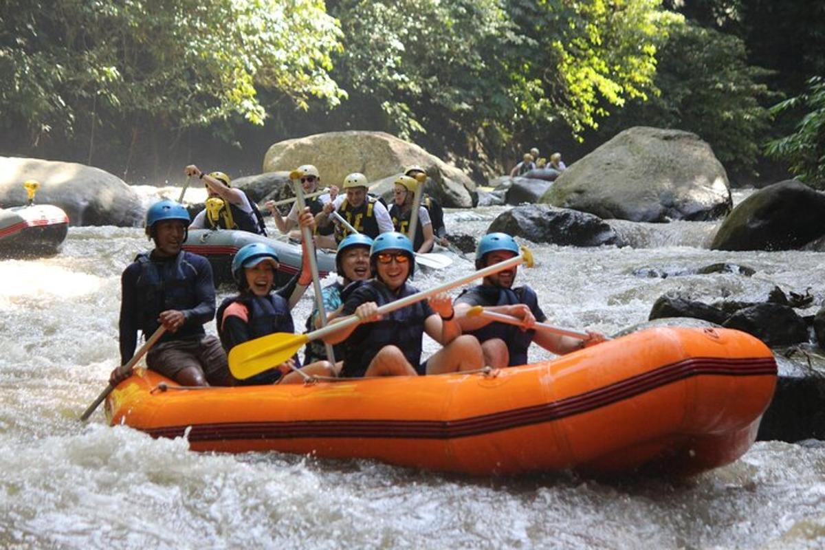 um grupo de pessoas está fazendo rafting em um rio