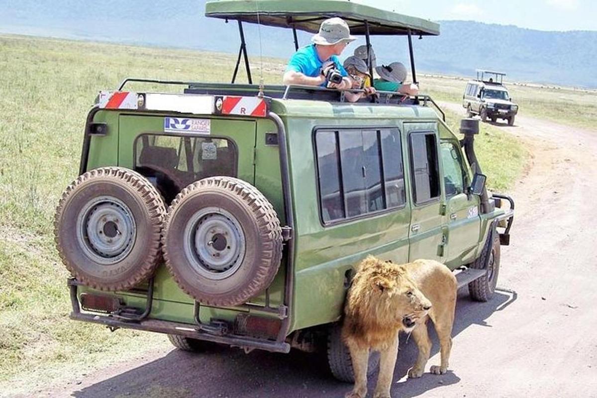 muž a lev stojící vedle zeleného džípu
