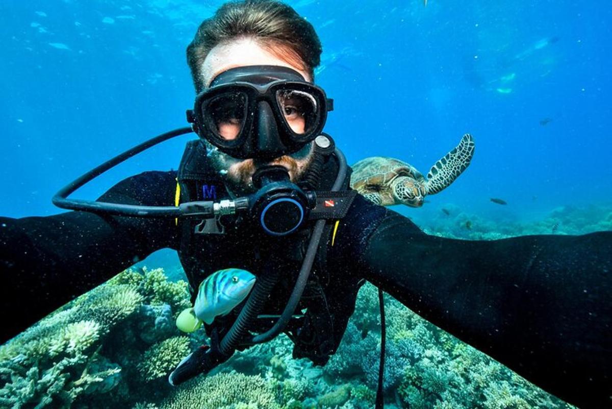 una persona amb màscara de busseig i una tortuga a l'aigua