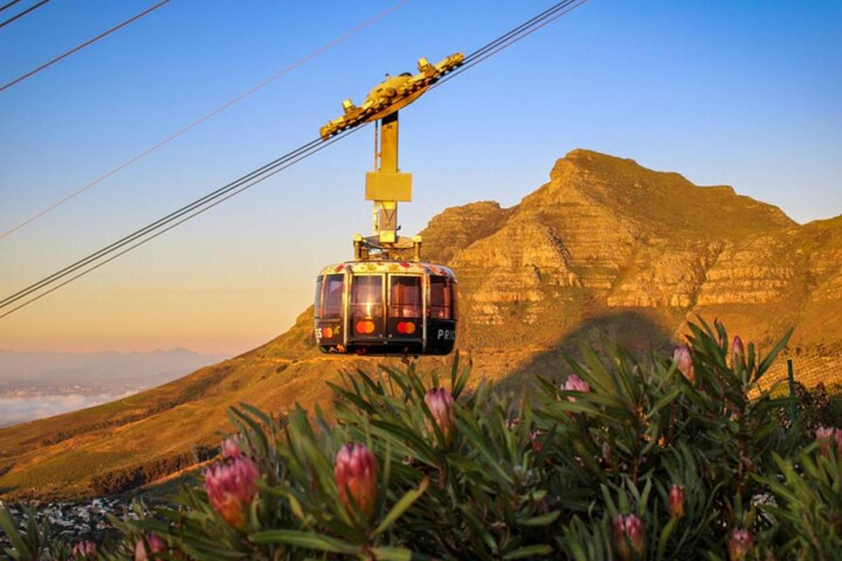 um teleférico nas montanhas com flores