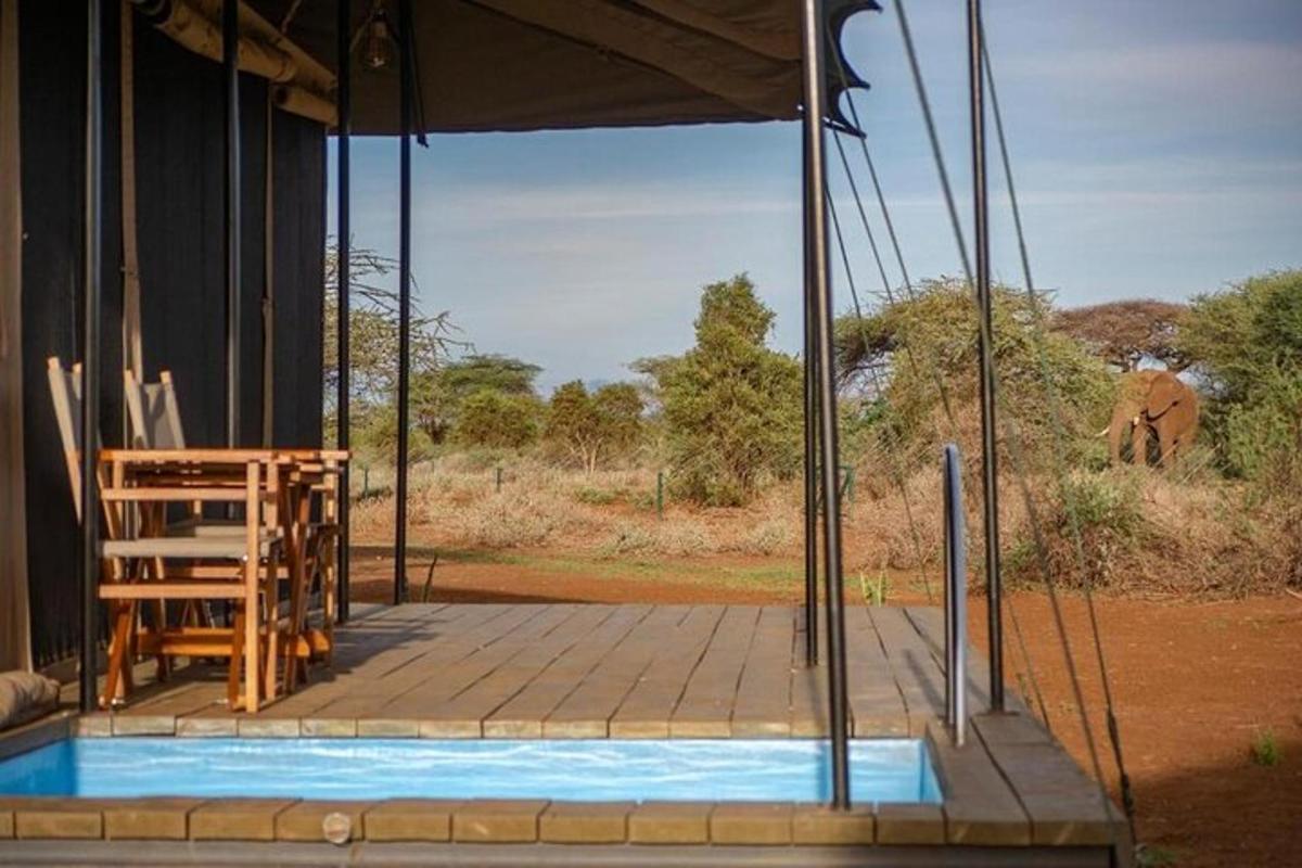 a porch of a house with an elephant in the background