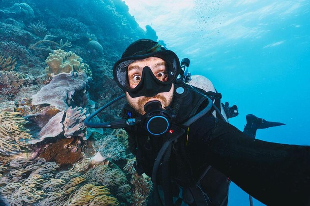 un uomo in muta da sub e maschera su una barriera corallina