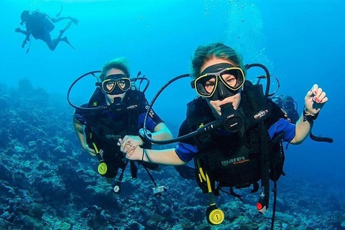 două persoane fac scufundări în ocean