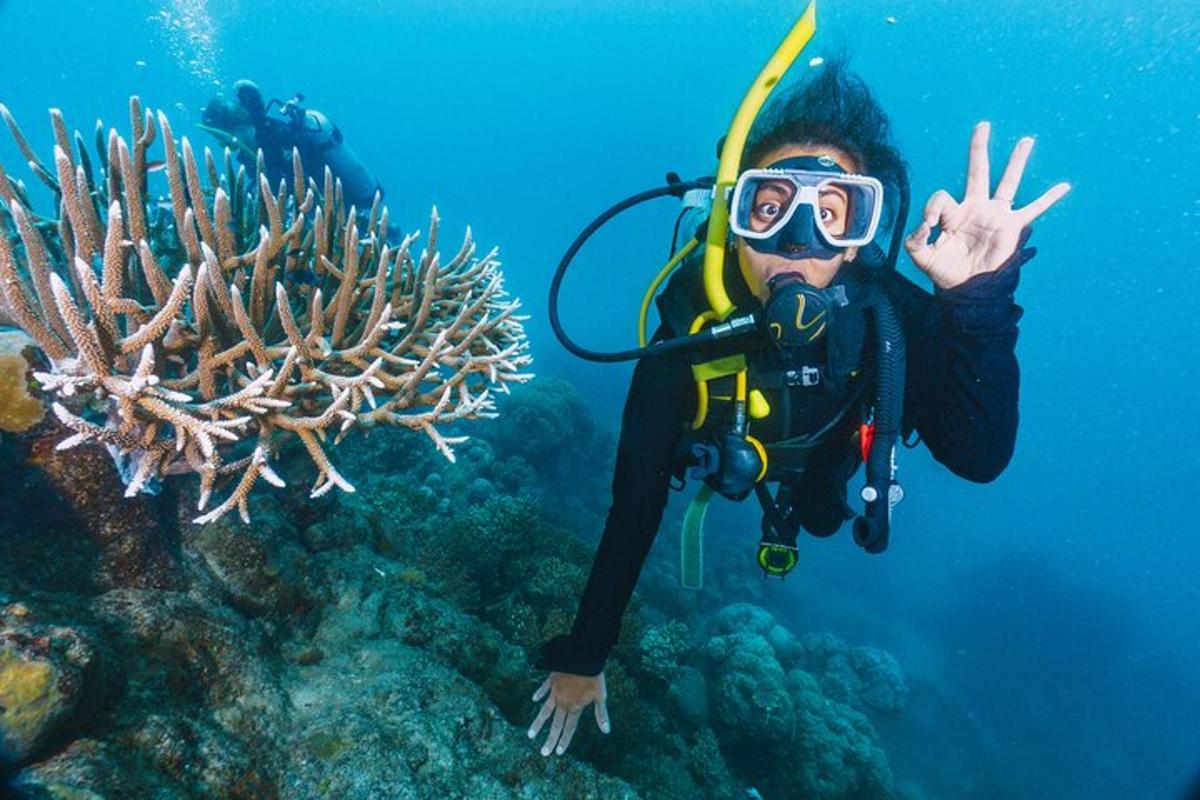 um homem com equipamento de mergulho está debaixo d'água perto de um recife de coral
