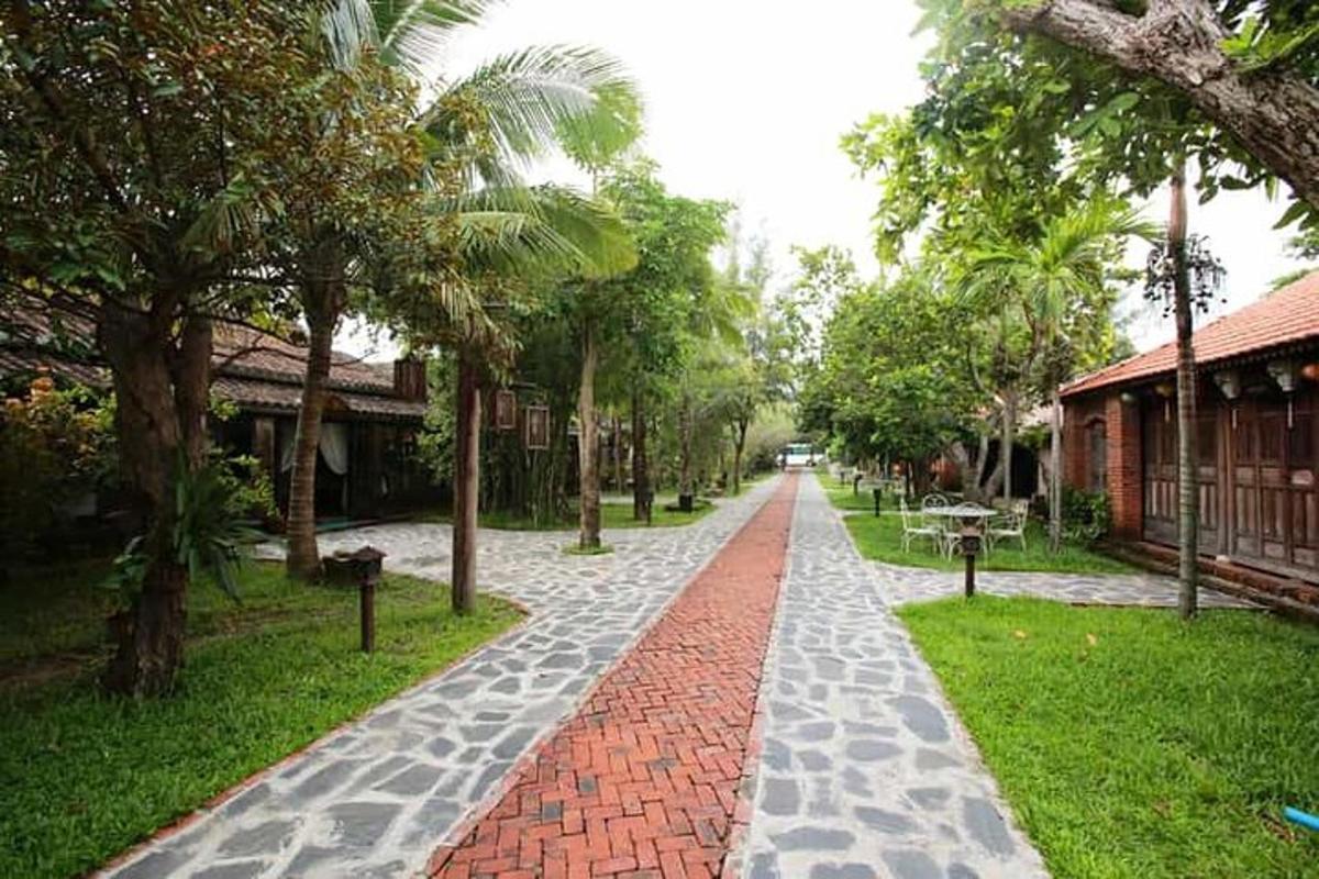 một con phố lát đá cuội với những cây cọ và một tòa nhà