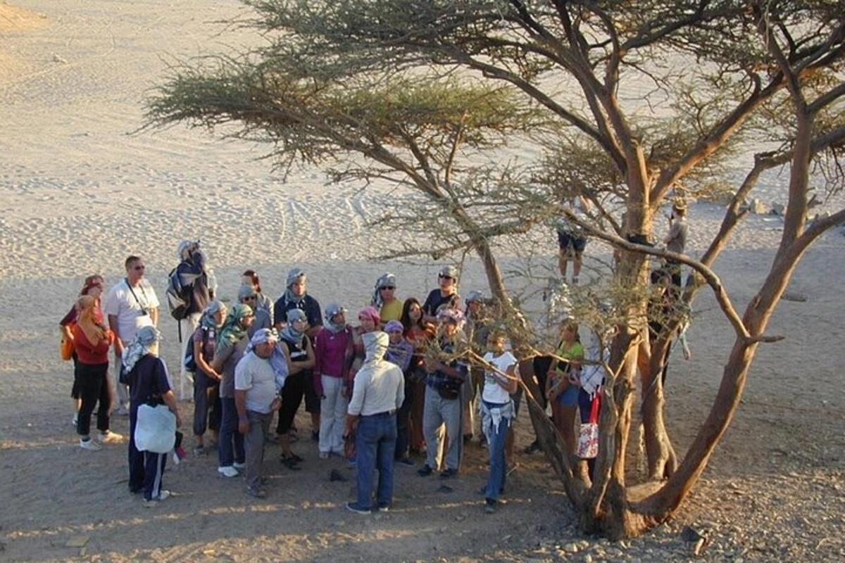 un grupo de personas de pie junto a un árbol