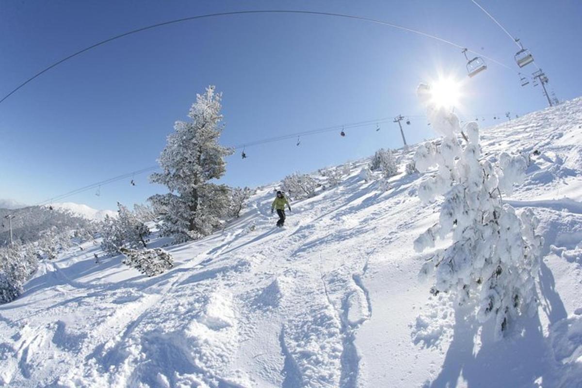 uma pessoa está esquiando em uma encosta coberta de neve