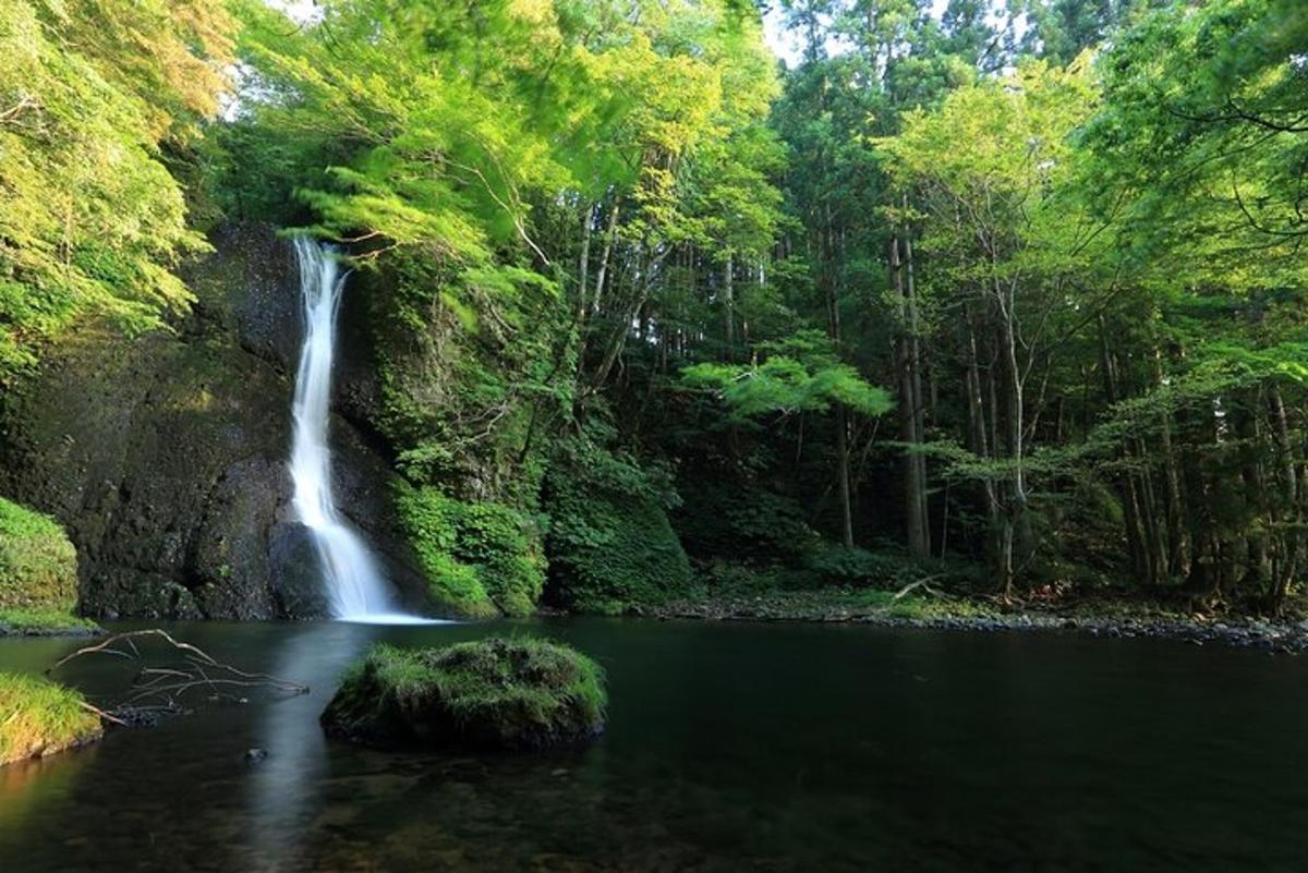 juga keset jõge metsas