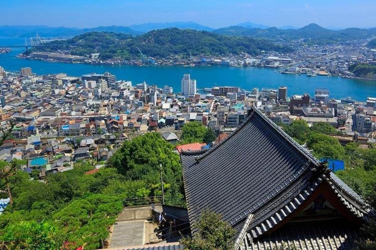 a view of a city with a river and a building