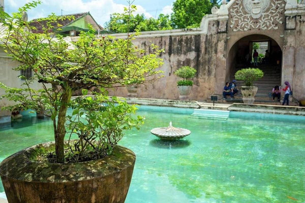 kolam renang dengan pohon di tengahnya