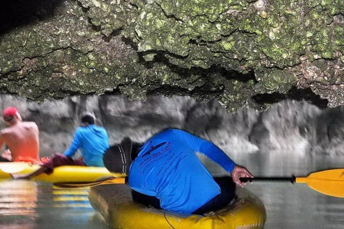 un gruppo di persone che fa kayak su un fiume