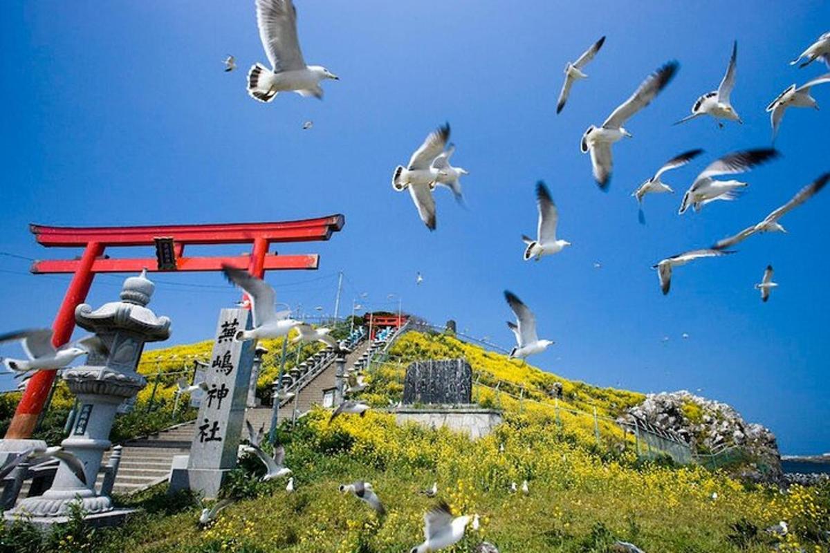 um bando de gaivotas voando ao redor de um portão torii vermelho