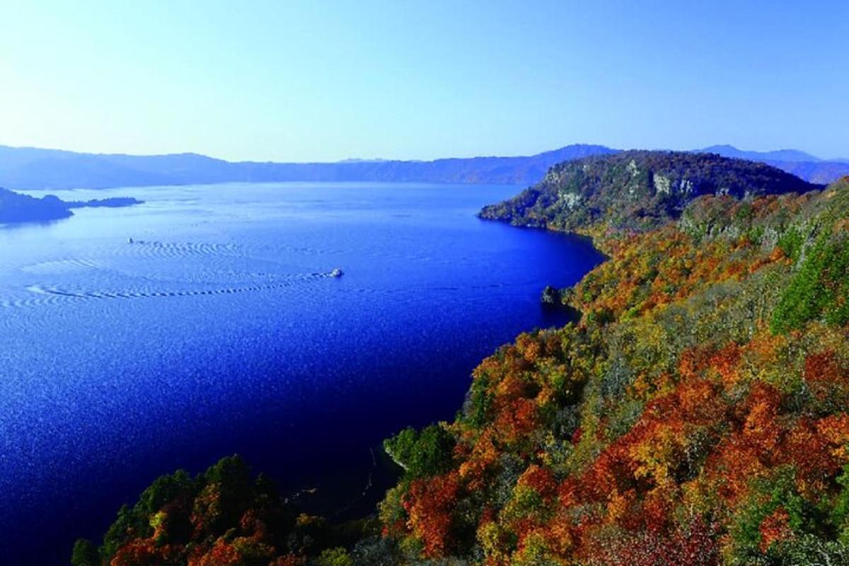an aerial view of a lake with a flock of birds