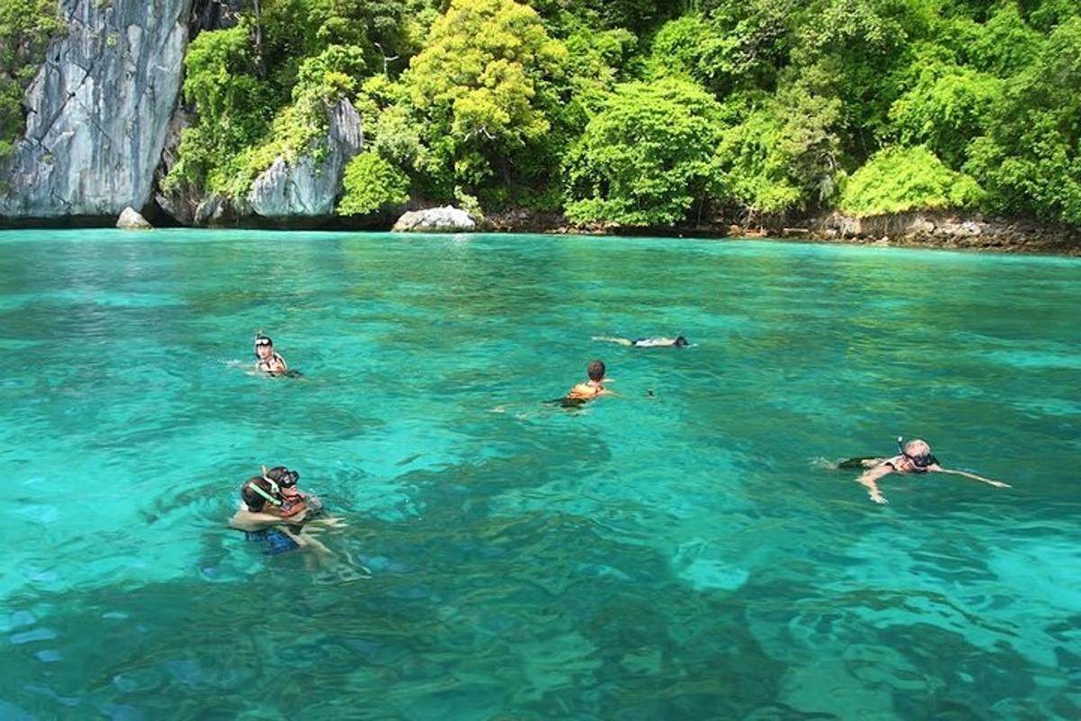a group of people swimming in a body of water