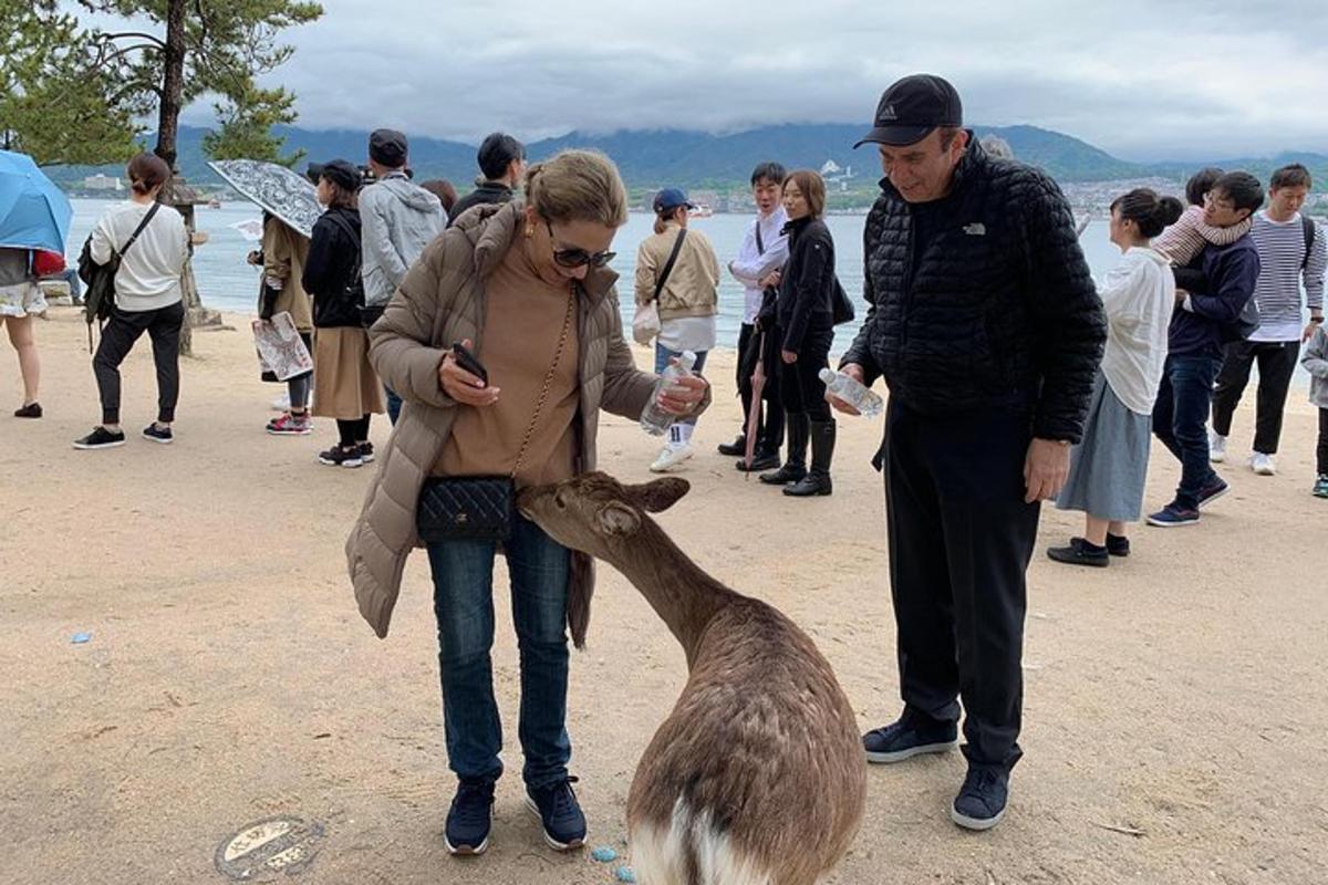 a woman is petting a small animal on the beach