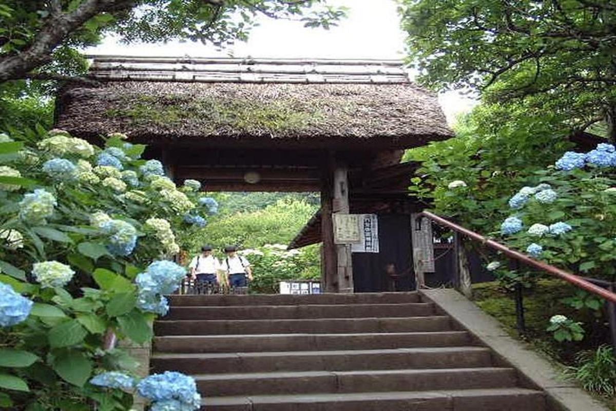 um pequeno prédio com escadas e flores azuis