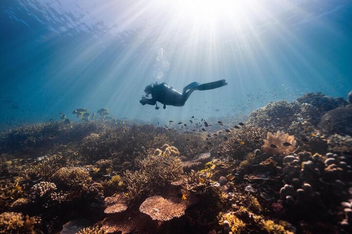 ang isang tao ay lumalangoy sa ibabaw ng coral reef