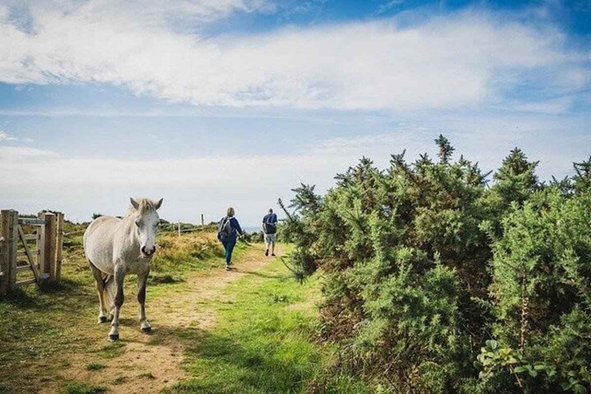 due persone e un cavallo che camminano lungo una strada sterrata