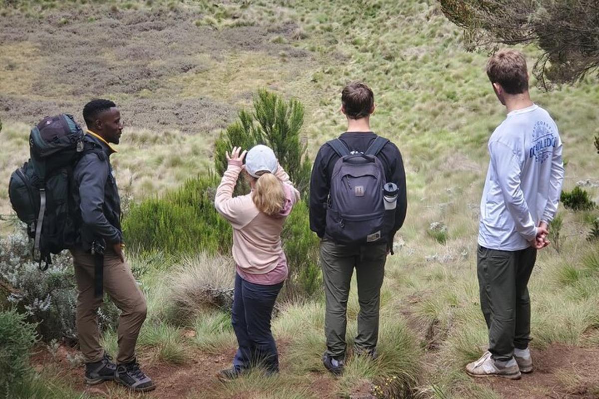 grupp inimesi, kes seisavad mäe tipus