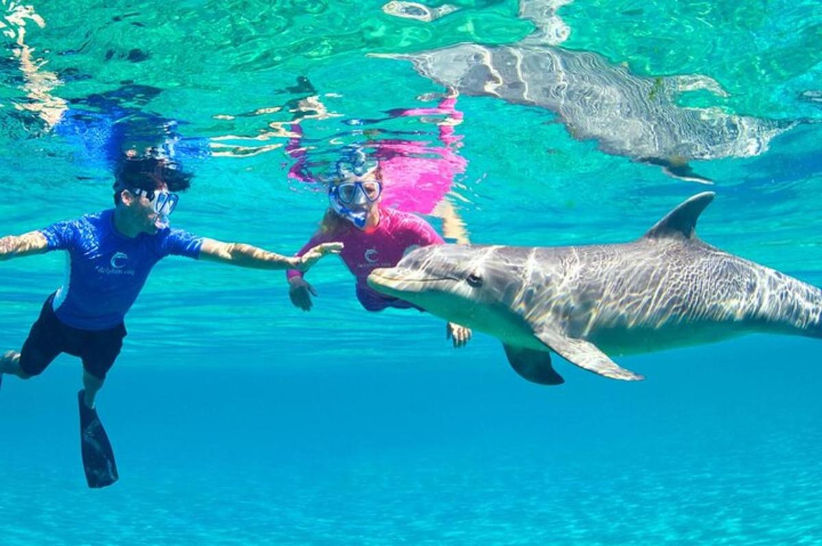 due persone che nuotano nell'acqua con uno squalo balena