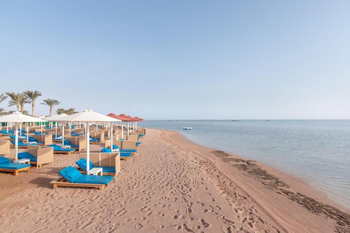 a row of chairs and umbrellas on a beach