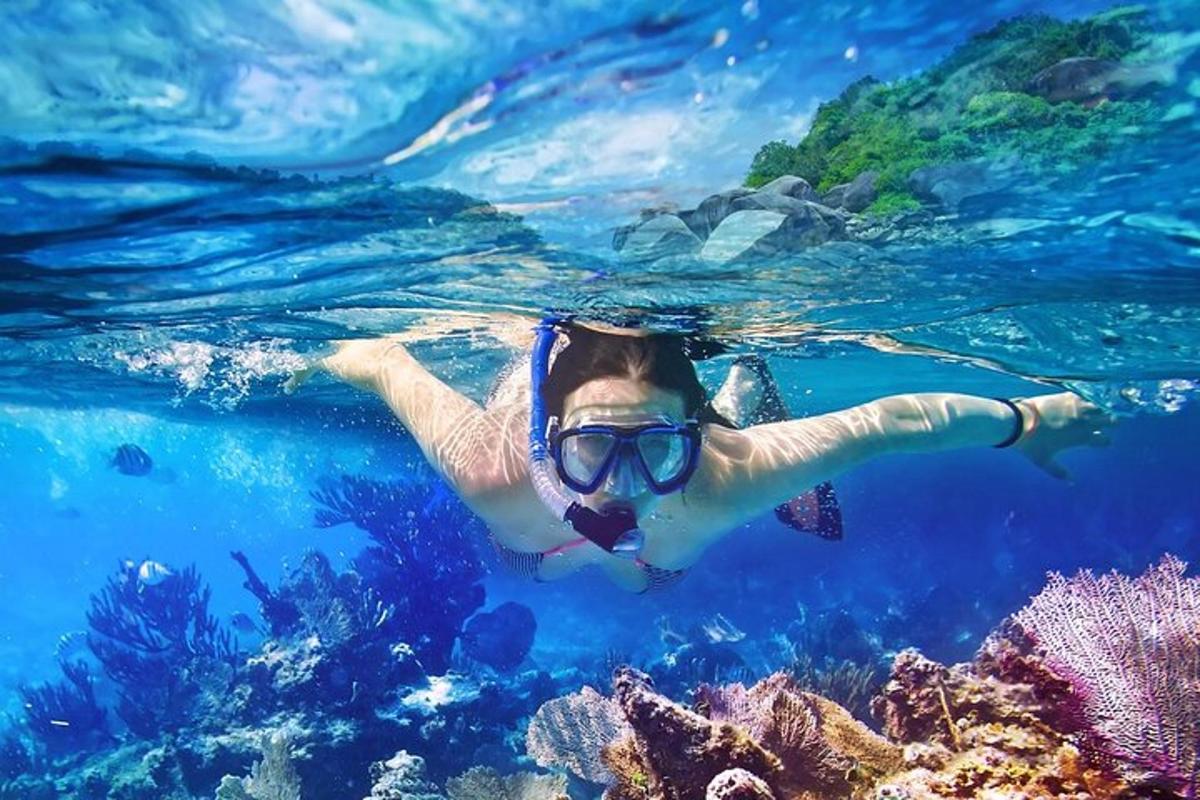 eine Frau, die im Wasser in der Nähe eines Riffs schwimmt