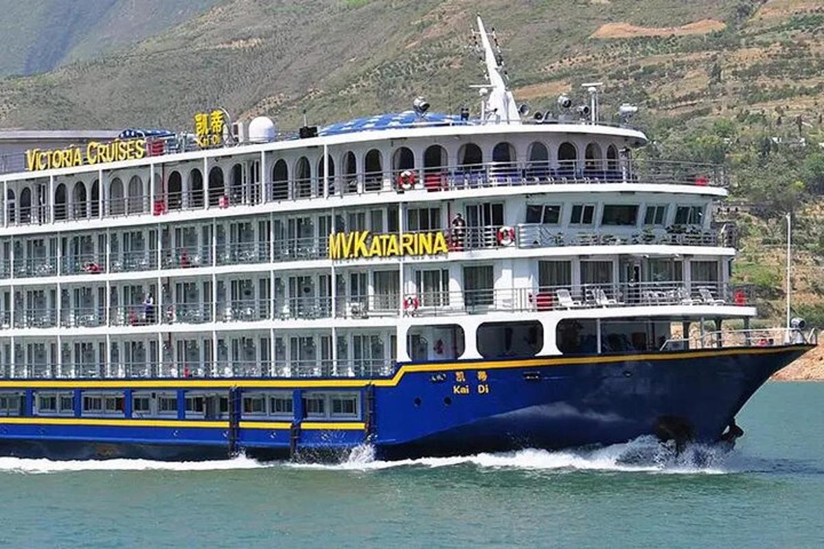 a cruise ship on the water with a mountain in the background