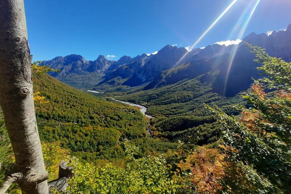 una vista di una valle con alberi e montagne