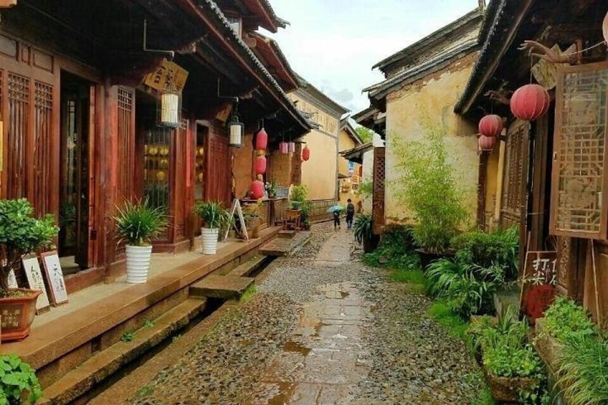 오래된 건물 안에 화분이 있는 골목