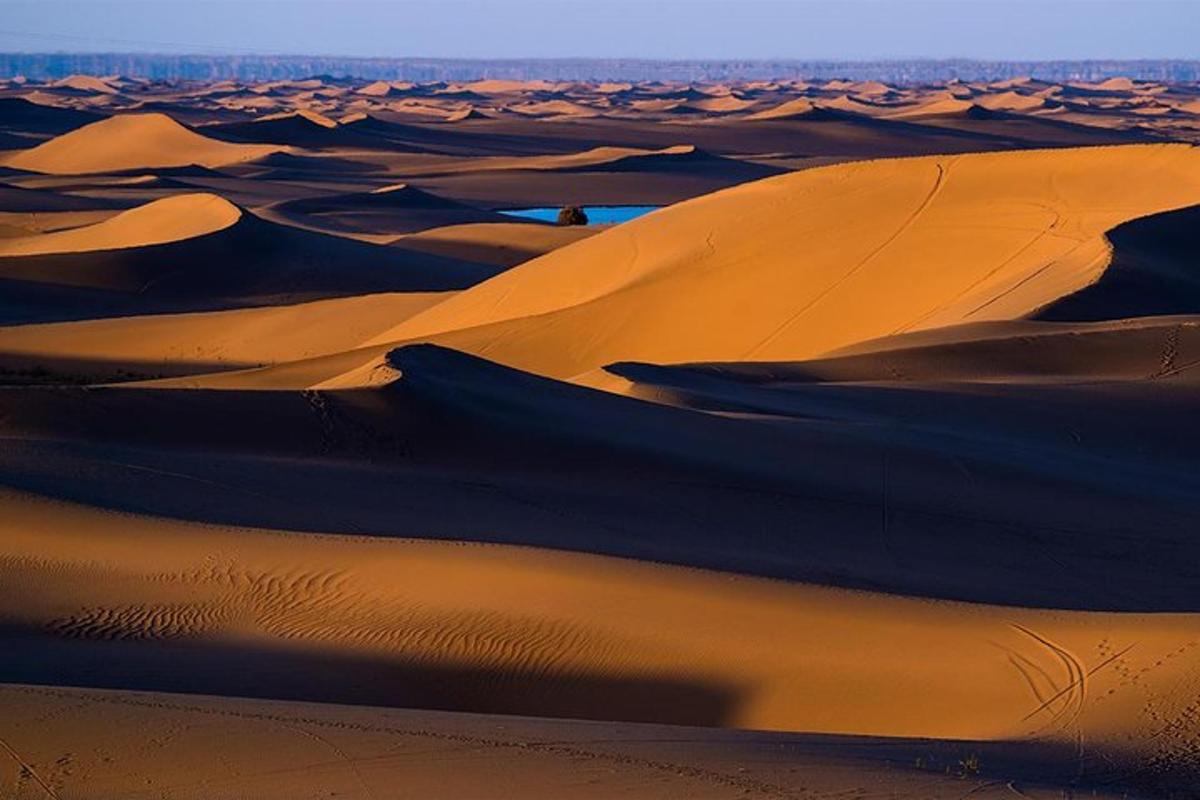 un grup de dunes de sorra al desert
