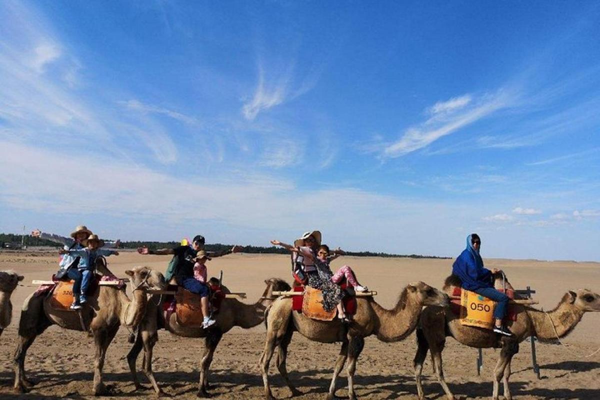 un gruppo di persone a cavallo di cammelli nel deserto