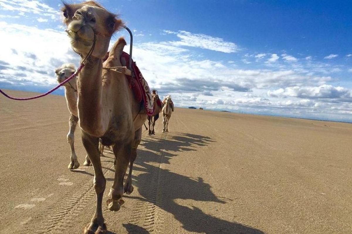 un grup de persones muntant a cavall a la platja