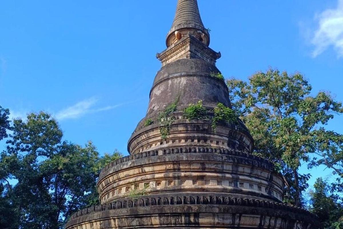 una torre alta con alberi sullo sfondo