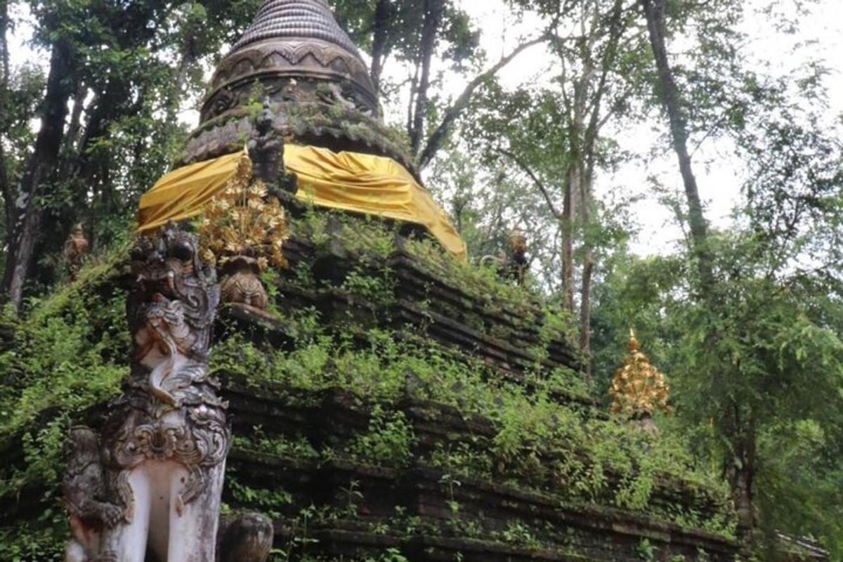 pagoda uprostřed lesa stromů