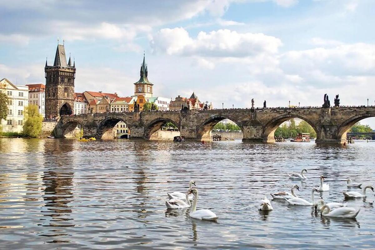 Skupina labutí ve vodě před mostem
