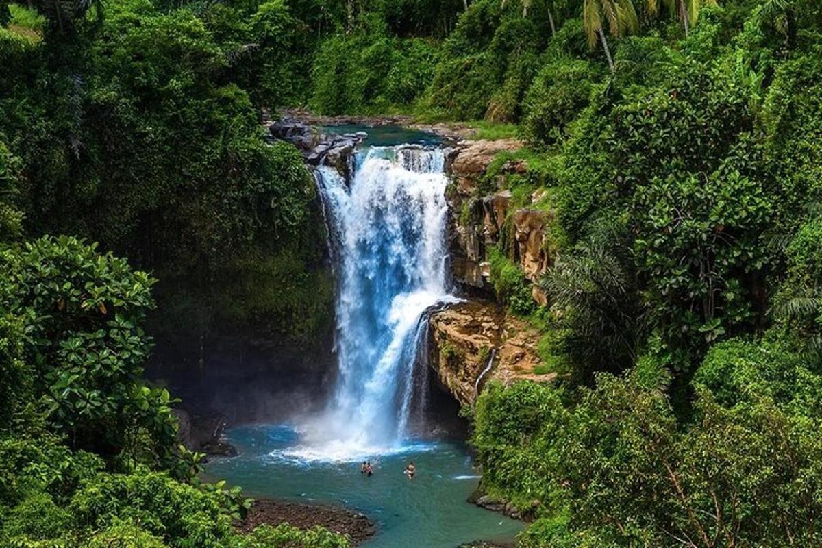 uma cachoeira na selva com pessoas na água